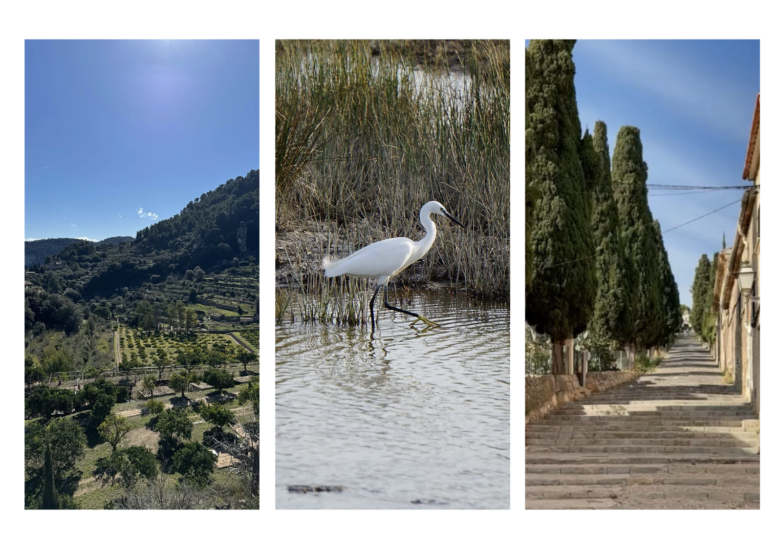 Places to Visit – North Mallorca