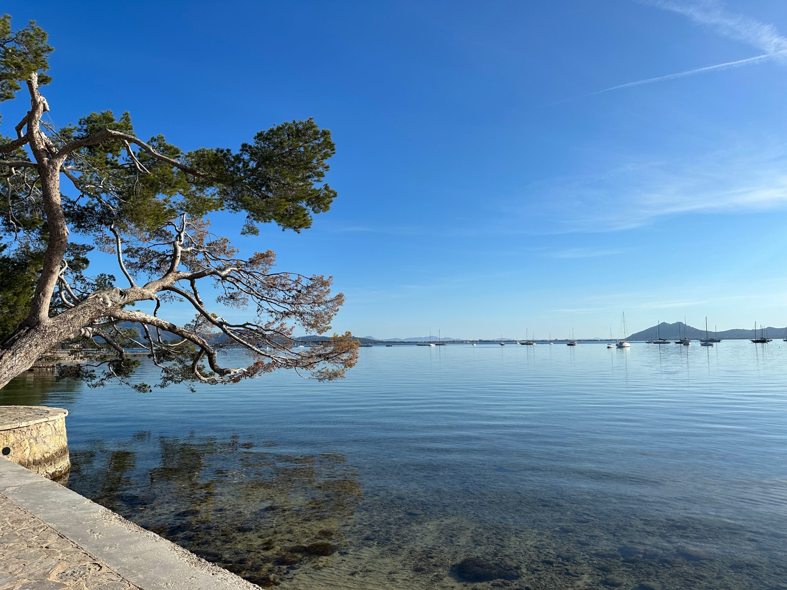 Days out with the Kids – Puerto de Pollensa