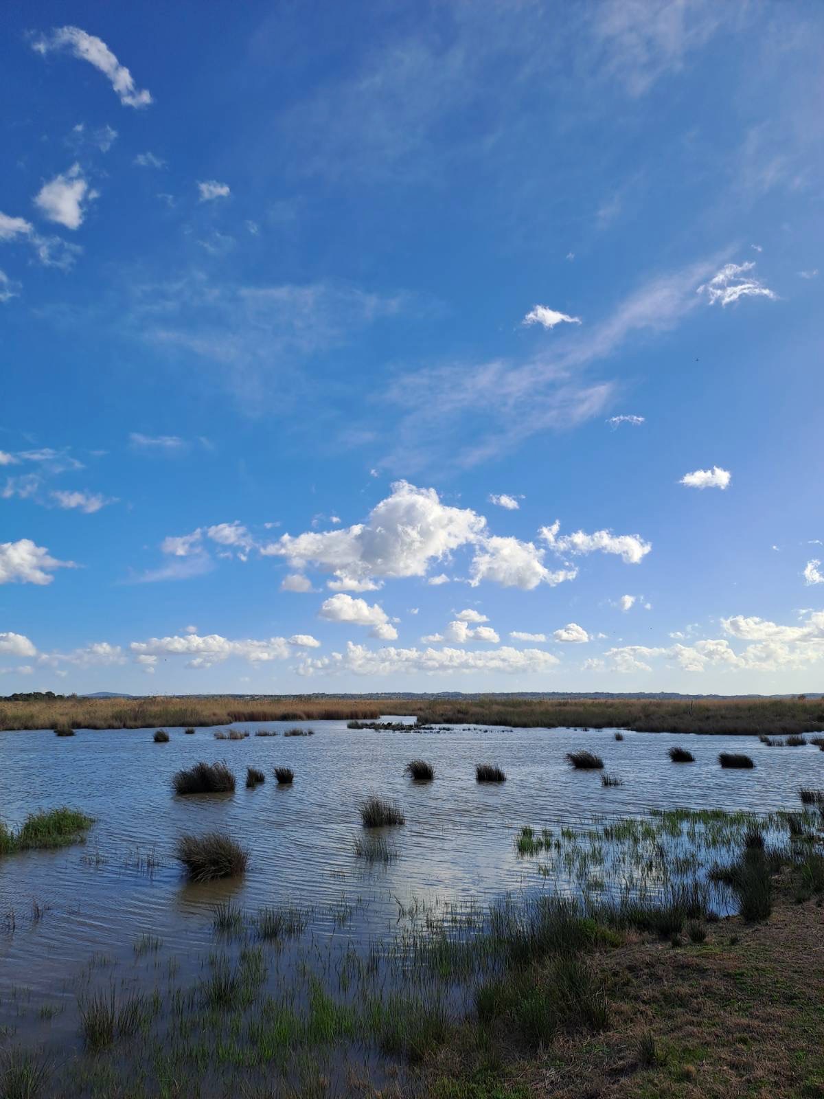 Days out with Kids – S’Albufera